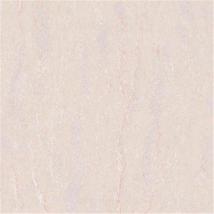 自由飞翔(抛光砖）C8ZY886